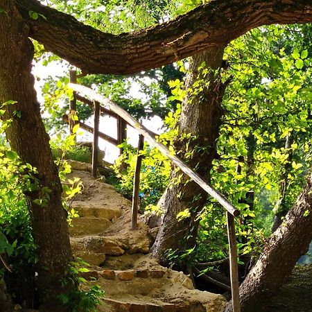 Kuca Za Odmor Ceif Villa Dropci Esterno foto