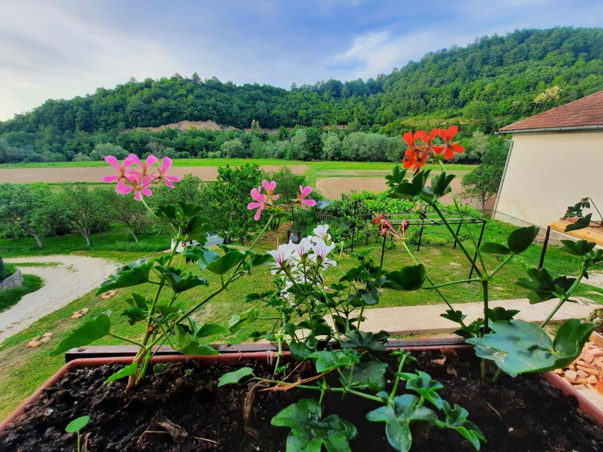 Kuca Za Odmor Ceif Villa Dropci Esterno foto