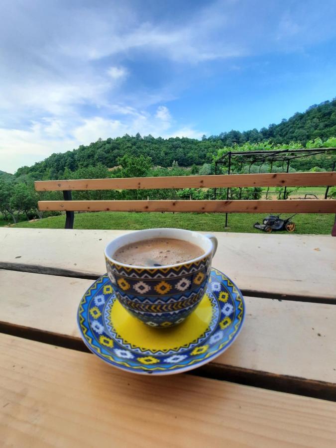 Kuca Za Odmor Ceif Villa Dropci Esterno foto