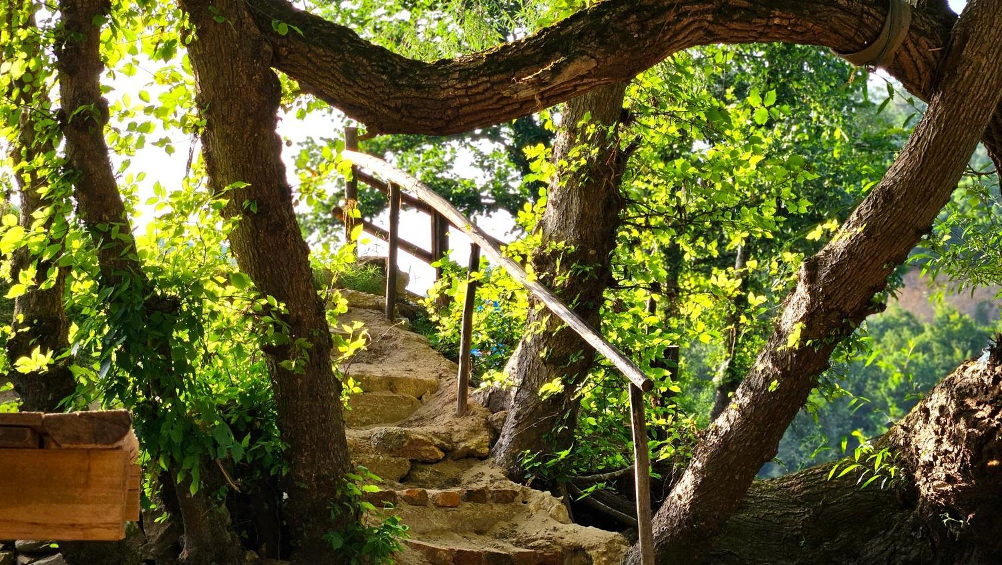 Kuca Za Odmor Ceif Villa Dropci Esterno foto